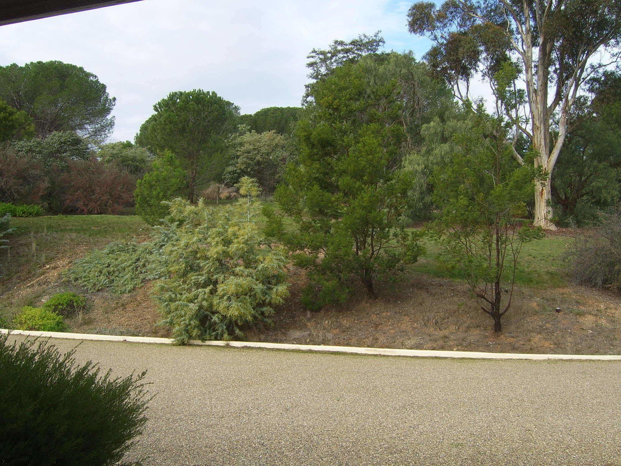 Garden Motor Inn Gundagai Luaran gambar