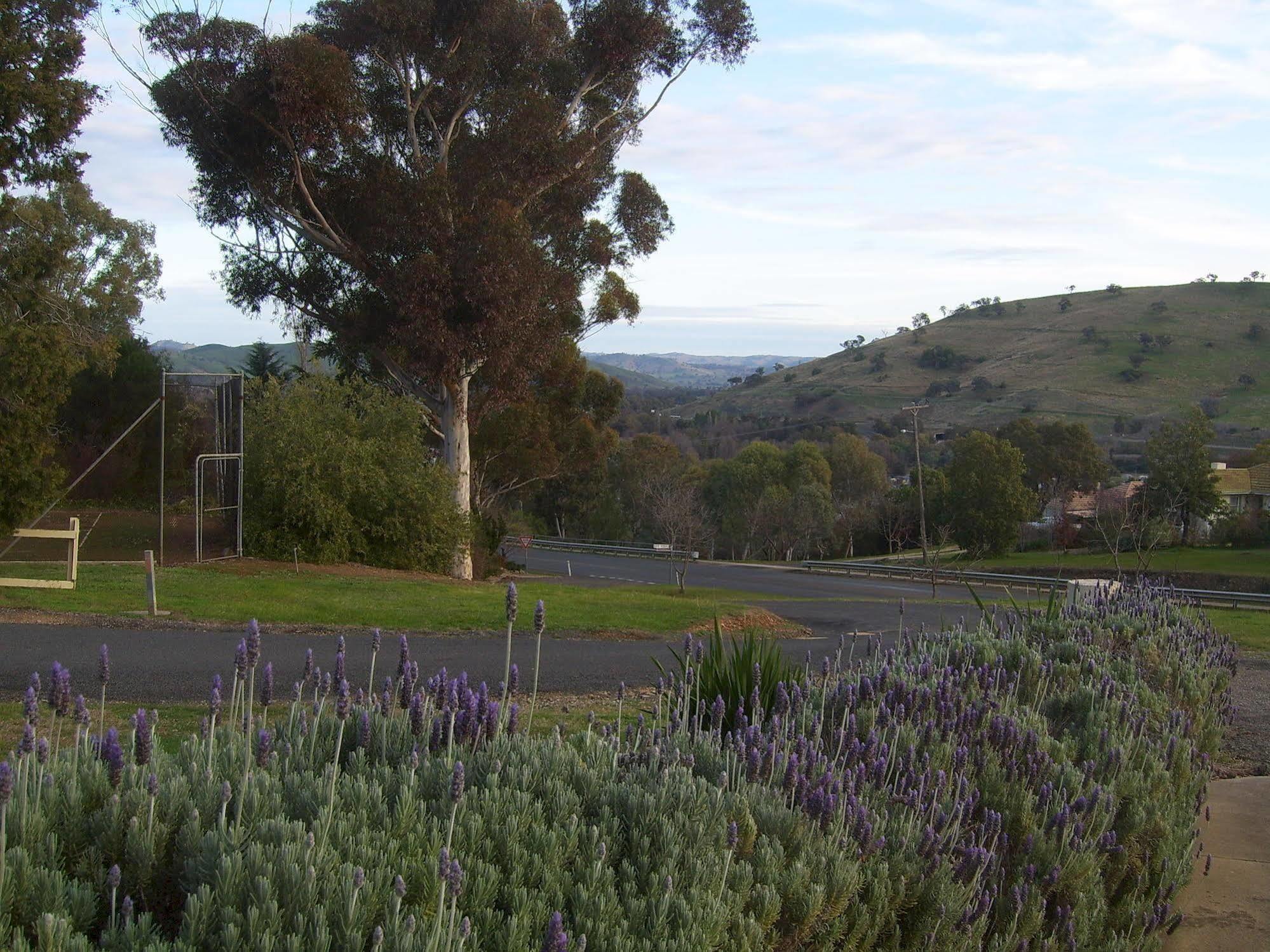 Garden Motor Inn Gundagai Luaran gambar