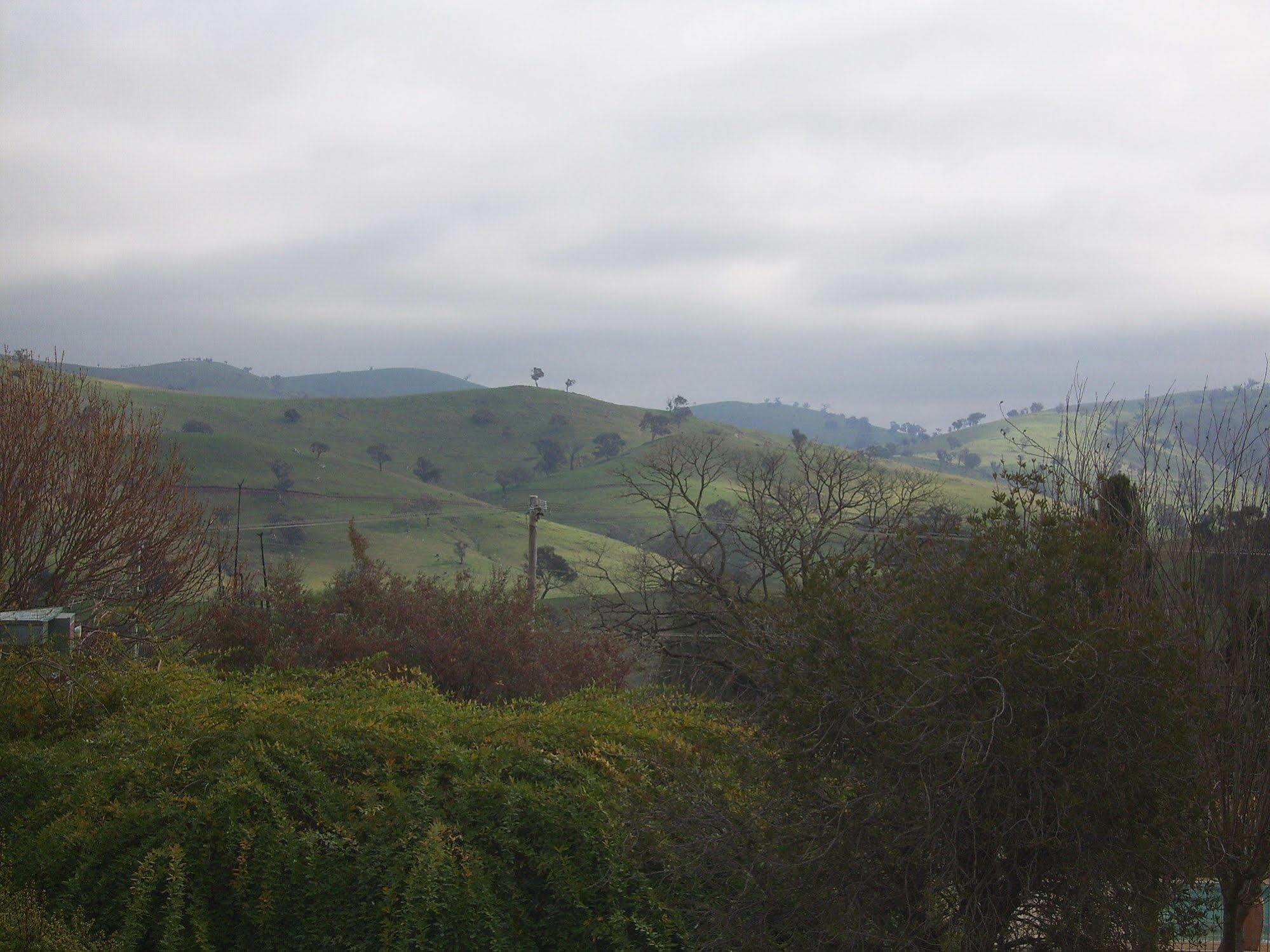 Garden Motor Inn Gundagai Luaran gambar