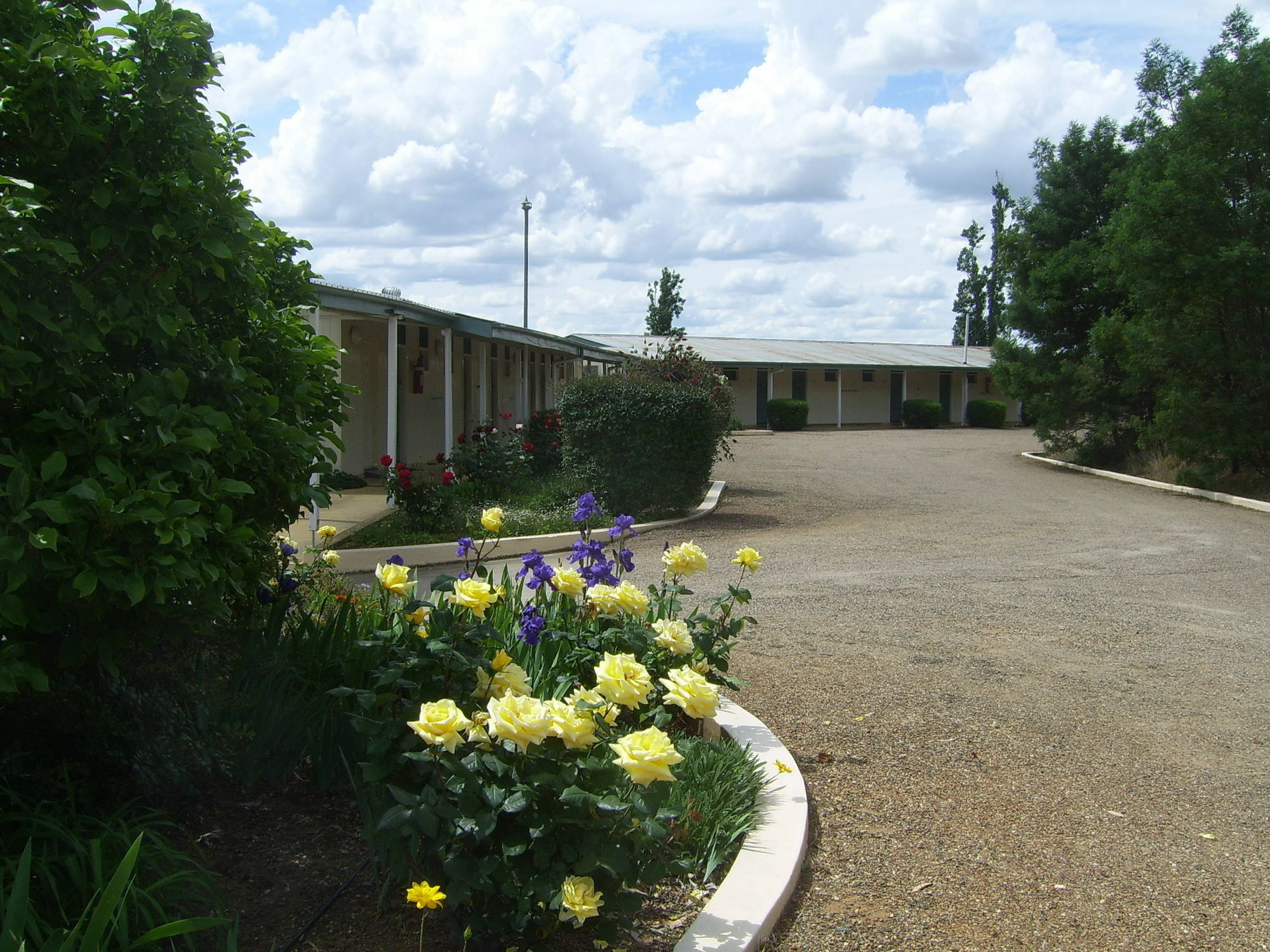 Garden Motor Inn Gundagai Luaran gambar